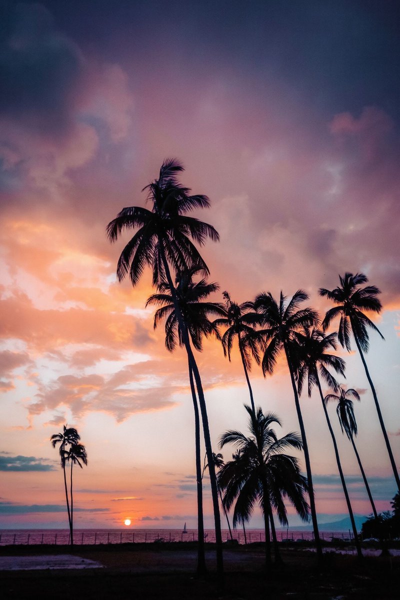 NomadicVisits's tweet photo. Tropical Twilight 🌴❤️ https://t.co/QJ5dRhANbg