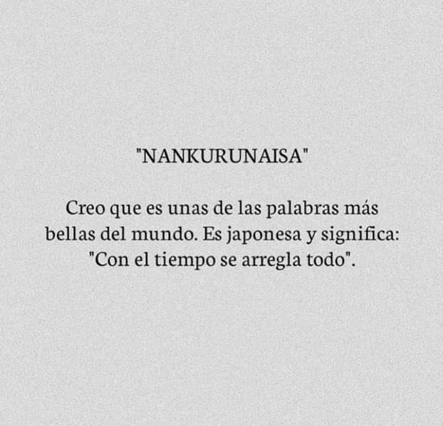 literlandweb1's tweet image. 