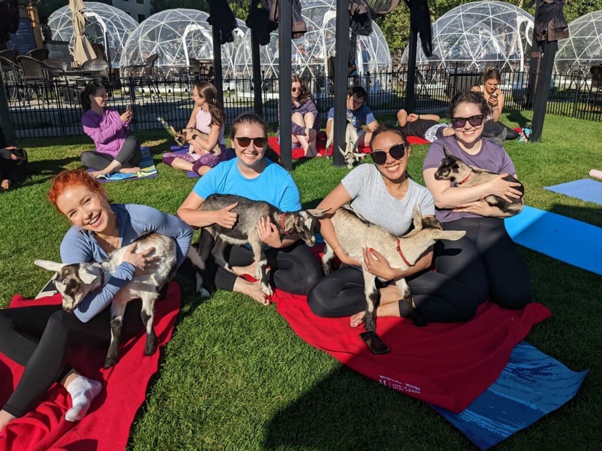 Goat yoga is a thing? We are always looking at new and unique ways to bring morale to our staff! #employeemorale #goatyoga #applynow #joinourteam
