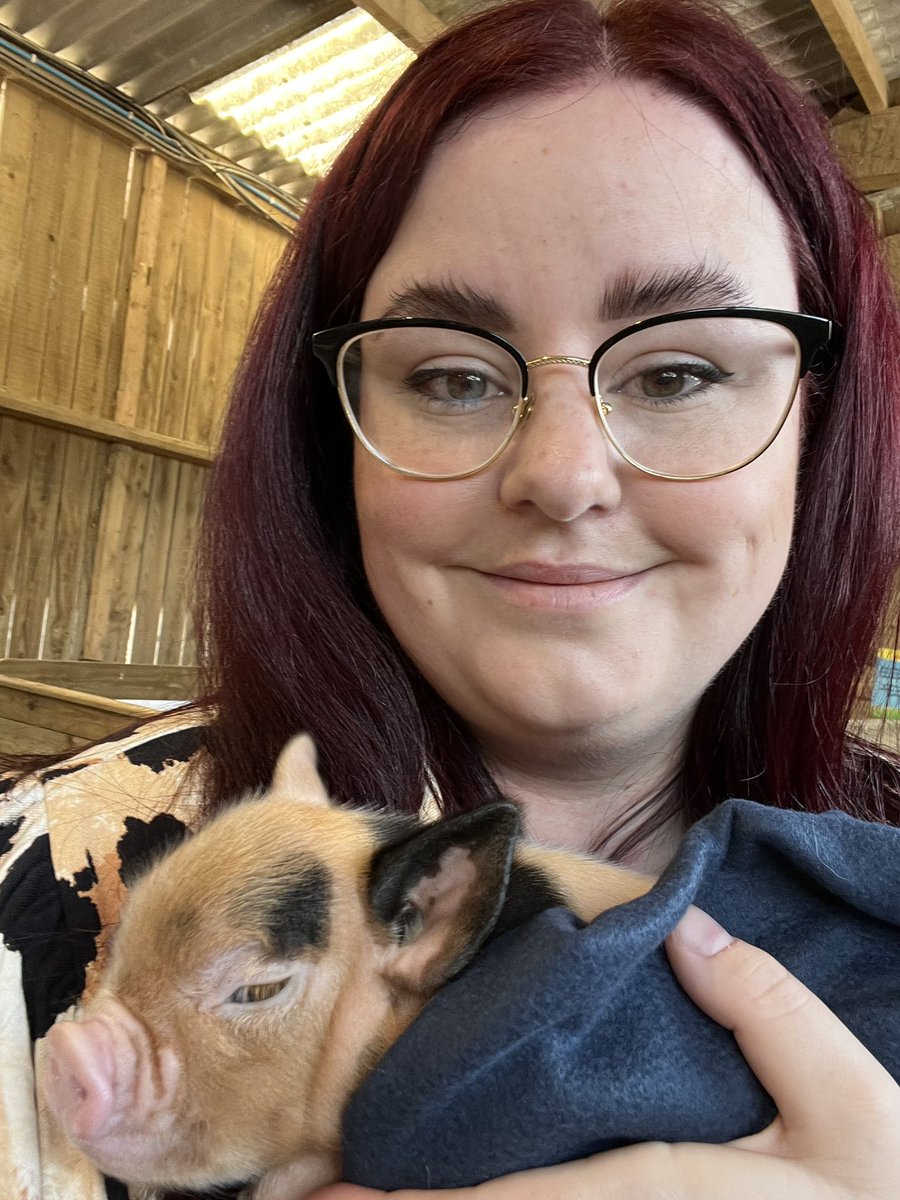 What do you do on annual leave? Cuddle baby piggies of course 🐷@PennywellFarm