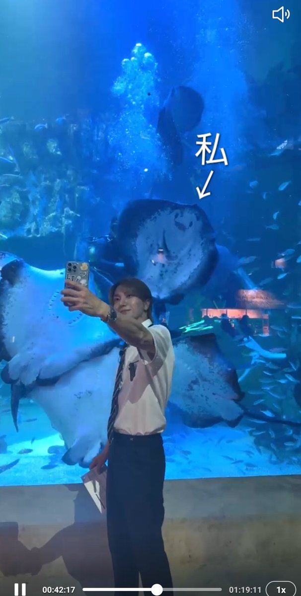 ミキ(超・低浮上🐥) tweet media