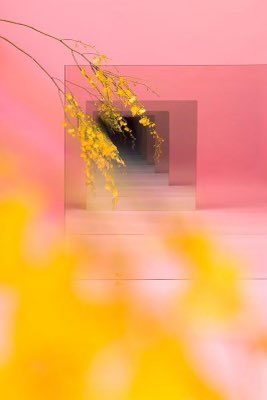 akruidhof12's tweet image. #SoftColours