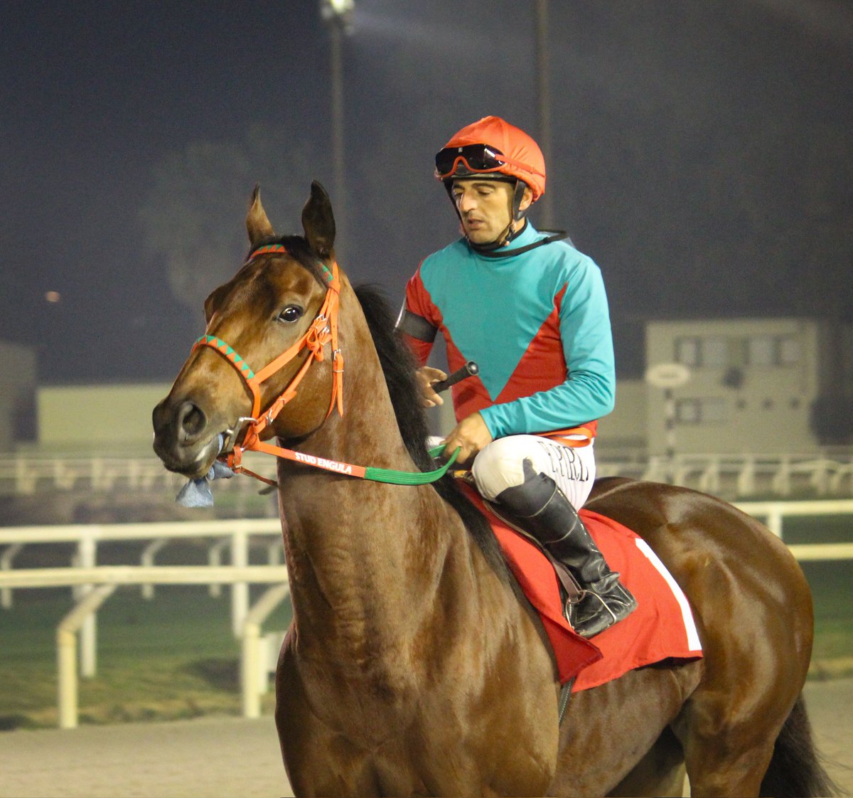 turf_uruguayo's tweet photo. #Zabino 

"Venia pegando en el palo" el defensor del #StudEngula y este domingo bajó el telón con una clara victoria en el Hcp Esp Osvaldo Martinez sobre 1100mts venciendo a #ManCampeira .

F.Piriz guió a la victoria a el #ApCardinal , mientras H.Baccino se lució en la cuida . https://t.co/wjz1GYzLMj