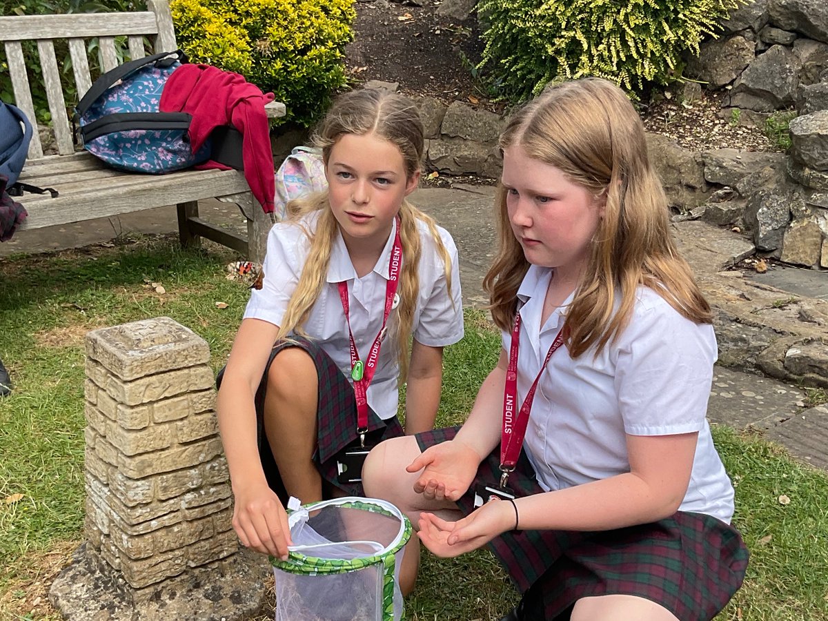 Redmaids'HighScience tweet media