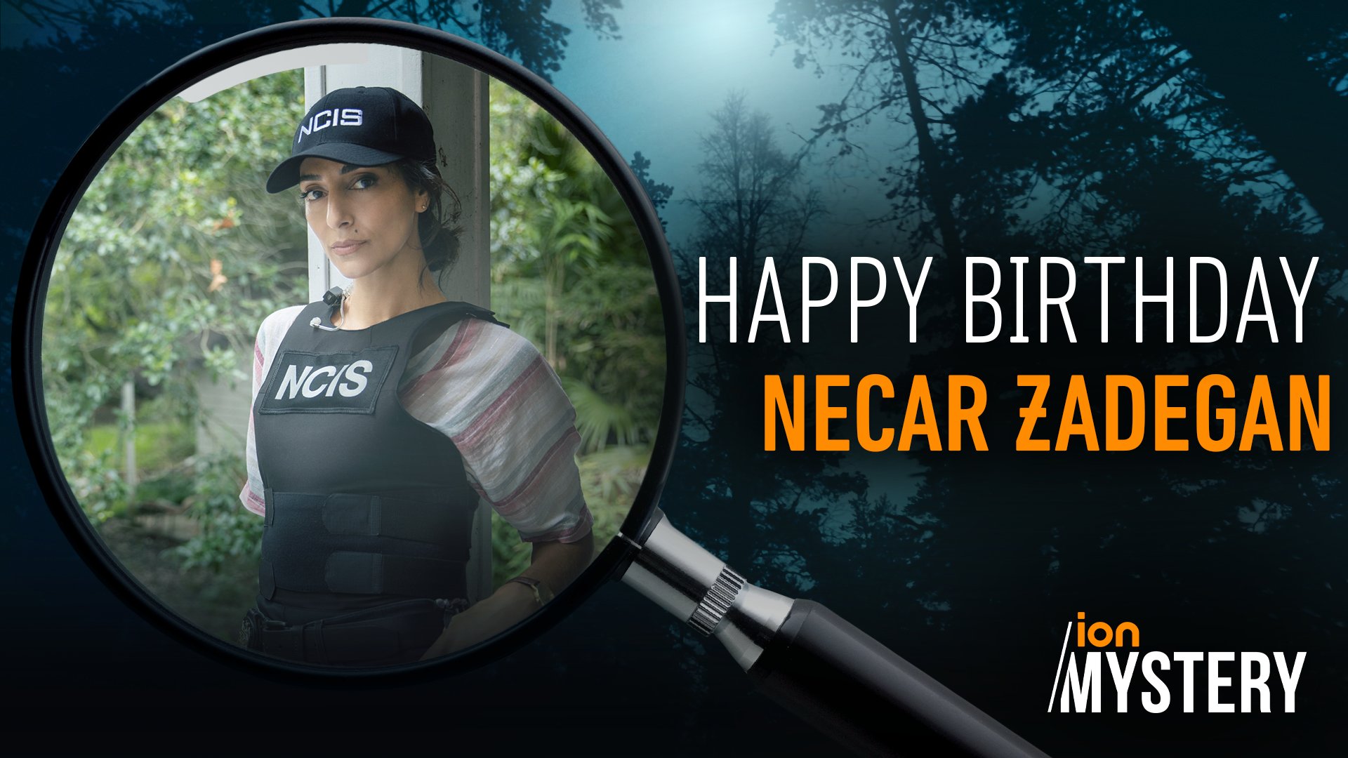 Happy birthday to a true ION Mystery star, Necar Zadegan! 