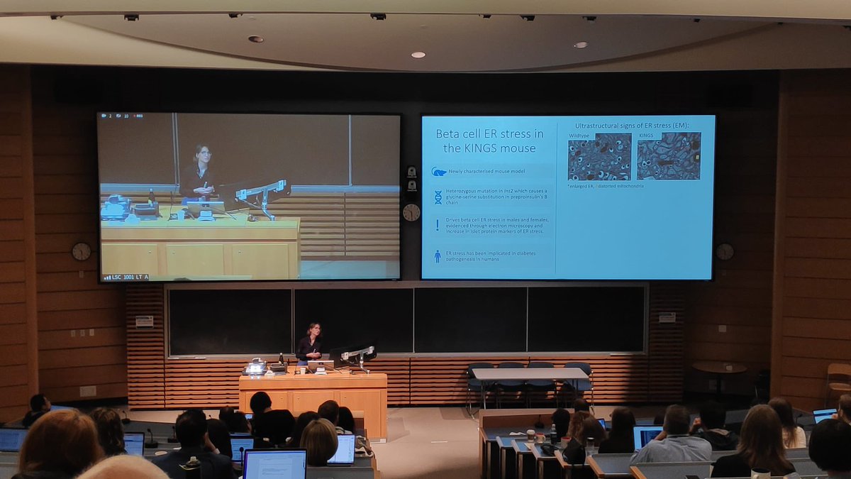 Aileen King tweet media