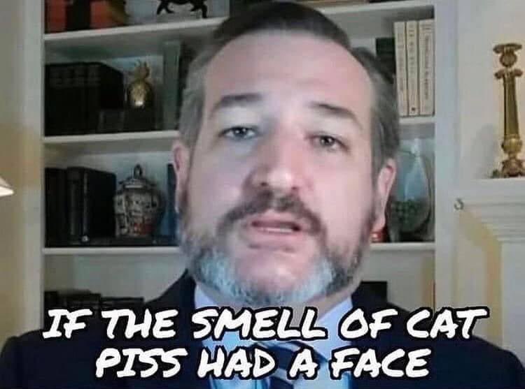 keltykelly's tweet photo. @tedcruz No one’s triggered by you- you just need to keep her name out of your mouth.  Go contest the 2020 election for the orange sloth who humiliated your wife.  You are just a phony who will never, ever be president.  Just a gutless skin tag like the ladybugs on Ms Lindsey. Empty eyes. https://t.co/artH96a0GY