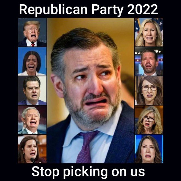 keltykelly's tweet photo. @tedcruz No one’s triggered by you- you just need to keep her name out of your mouth.  Go contest the 2020 election for the orange sloth who humiliated your wife.  You are just a phony who will never, ever be president.  Just a gutless skin tag like the ladybugs on Ms Lindsey. Empty eyes. https://t.co/artH96a0GY