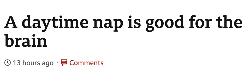 MorningBrew's tweet photo. Company mandated naptime is the future of productivity https://t.co/MxC3riz6ch