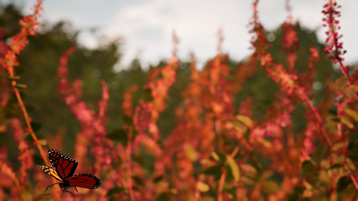 AWAY: The Survival Series 
#VirtualPhotography #butterfly #PhotoMode #XboxShare #XboxSeriesX #NoFiltersTuesday 
🙏 PLEASE TAP ↔️