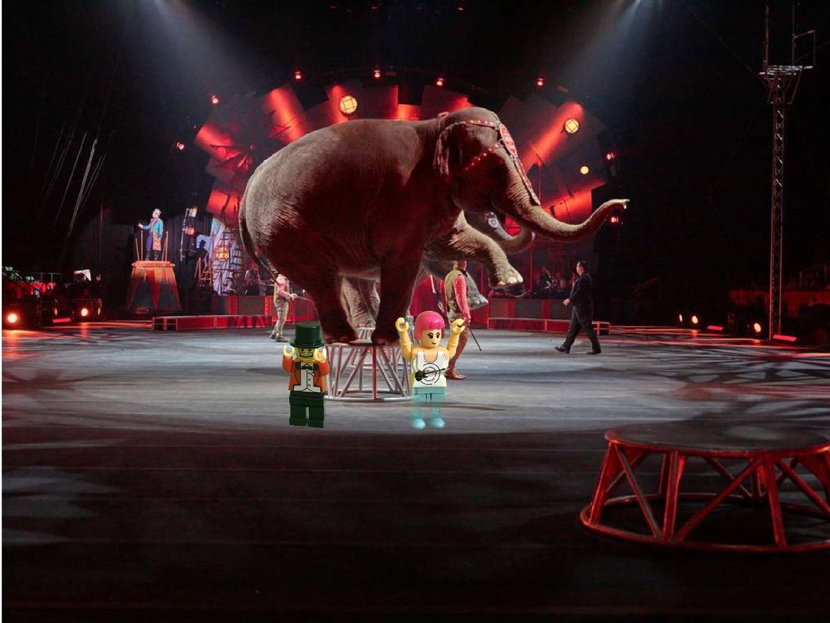 Wolf Ranch Elementary Library tweet media