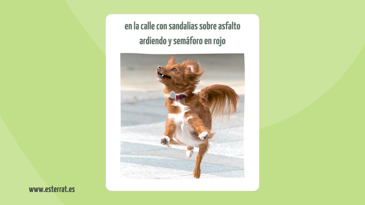 EsTerratAd's tweet photo. 🌞¡El verano ya está aquí! En Es Terrat, queremos alegrarte el día con memes estivales. ¡Te sentirás identificado/a! ¿Cuál es tu favorito? #EsTerrat #AFcolegiados #Mallorcaenverano #AfcolegiadoMallorca #memes #verano https://t.co/mAVV5czYSD