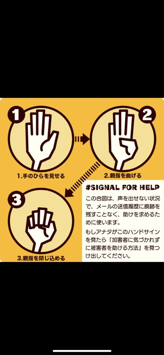 ☪弓月（ゆづき）☪ tweet media