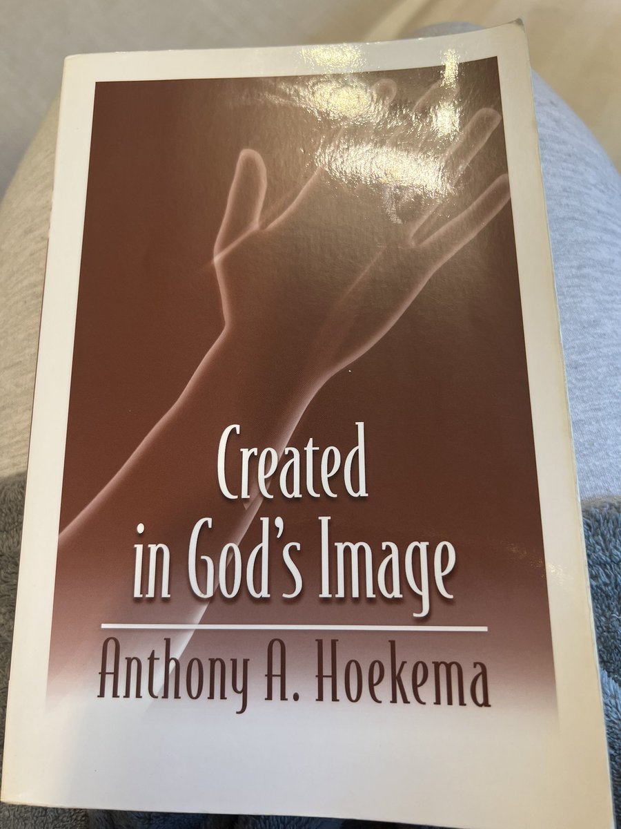 Hey theologians, I’m looking for a theologically rich book on the image of God that has practical application for how we view/treat ourselves. I’m just starting Hoekema but would like one more for upcoming travel.