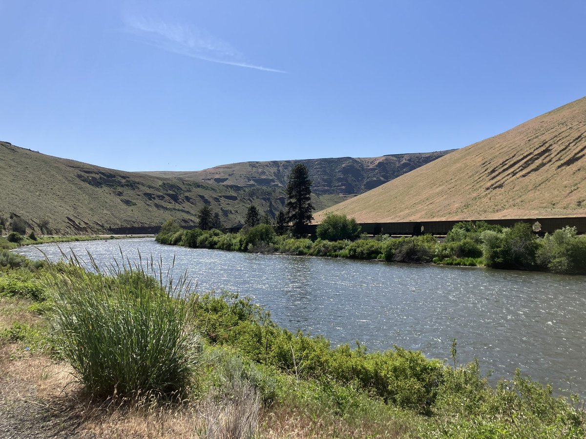 River road trip from start of June 🚗#trlt #ramblr