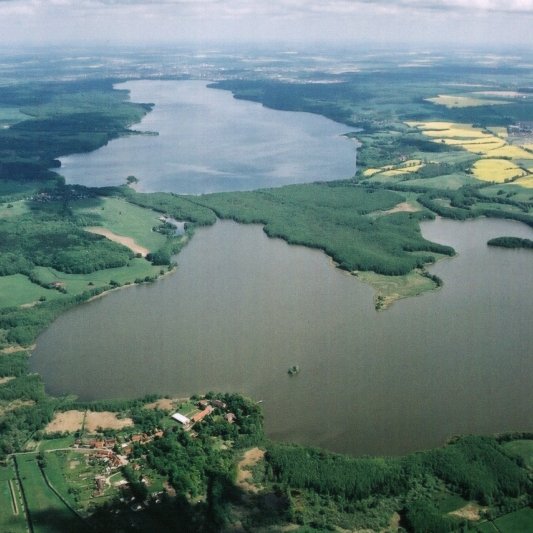 Hilf den Urwäldern von morgen! <a href="/NABU/">Gabriella Clare</a>-Stiftung schützt bei Neubrandenburg 435 ha Wald, Moor, und Wiesen und Ackerland. 23 ha trockengelegte Moorflächen sind wiederbelebt. Werde wie ich Urwald-Pat*in oder unterstütze die <a href="/NABU/">Gabriella Clare</a>-Stiftung mit einer einmaligen Spende! #restorenature