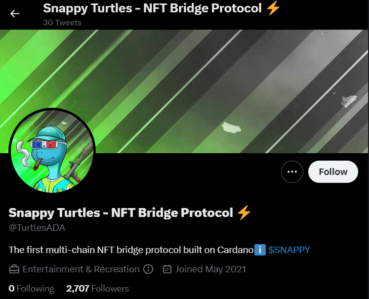 TheCardanoTimes's tweet photo. REPORT: @TurtlesADA, the alleged Snappy Turtles NFT Bridge Protocol, is reportedly a fraudulent project with a recycled Twitter account from the LunaADA memecoin rugpull that launched making thousands of ADA in their presale before abandoning the project. https://t.co/643EGtjA9t