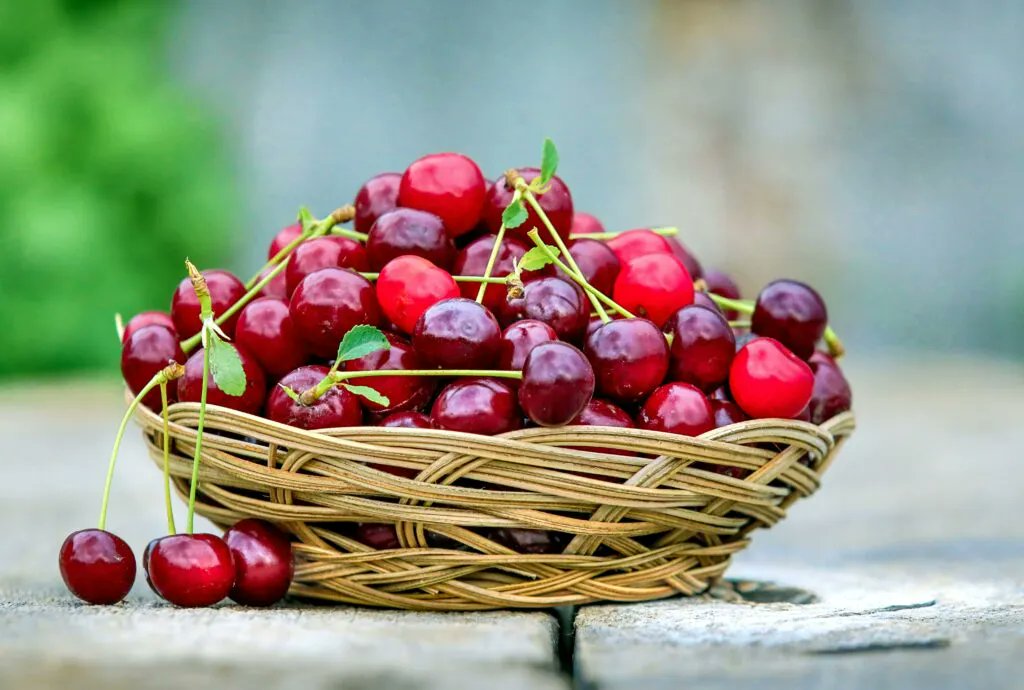 Souper_licious's tweet photo. Discover tart #cherry juice with three delightful recipes with #SimplySouperlicious contributor Autumn Gavora! From refreshing limeade to tangy salad dressing and creamy chia yogurt, elevate your culinary creations with cherry goodness. https://t.co/aeCqqOHf2F https://t.co/5UUlSrvOwU