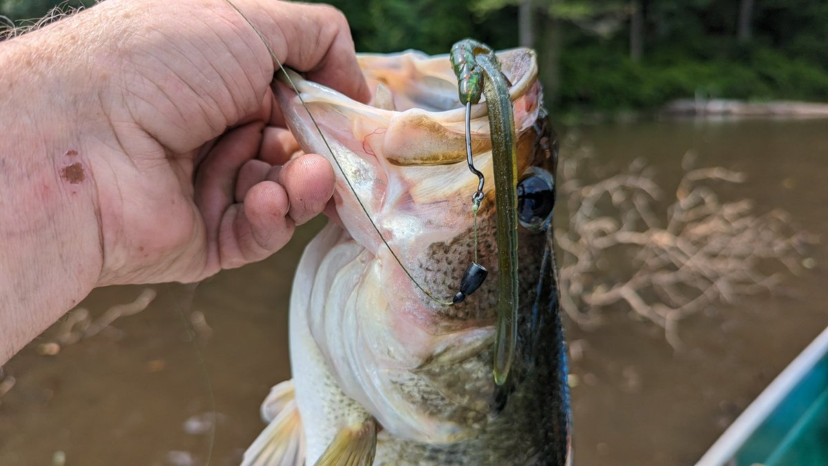 MISSILE_BAITS's tweet photo. A simple Texas rig with the Magic Worm is a setup that gets bit all summer long! @BassFishinNNVA getting it done 👊😎
#missilebaits #bassfishing #magicworm
https://t.co/PLQcNVBSem https://t.co/deiEgE0mQ5