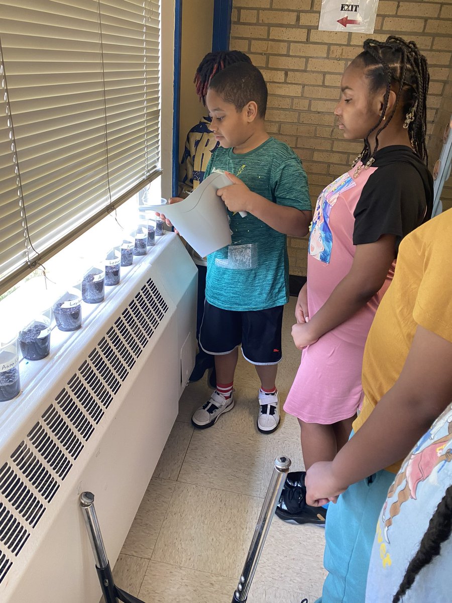 Terea Maddox tweet media