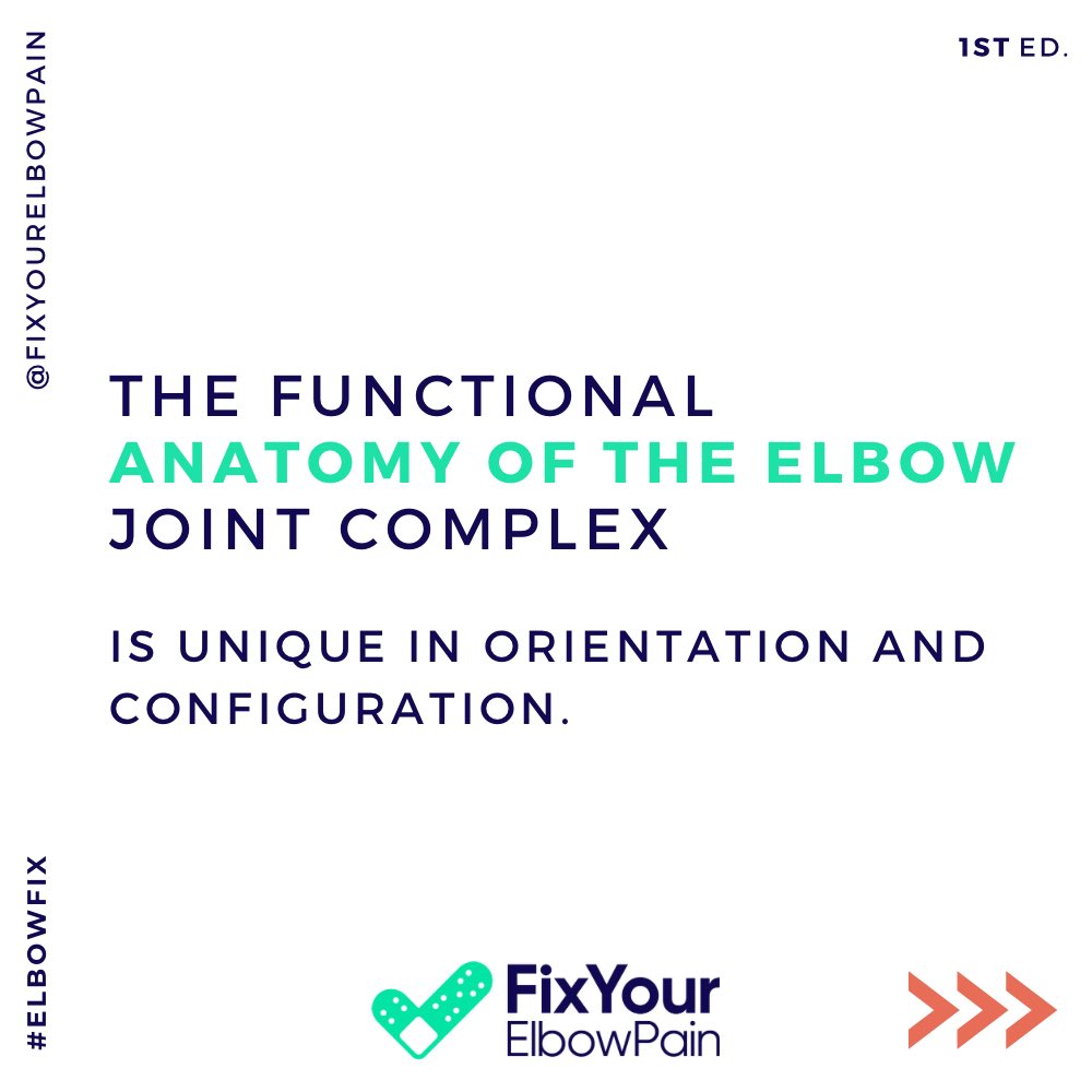 FixYourElbowPain.com tweet media