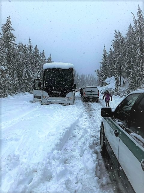 ⚠ Significant rain and snow on Monday have closed Maligne and Miette roads in @JasperNP. 

Parks Canada is working on assessing the safety of roads, including the risk of avalanches or mud slides.