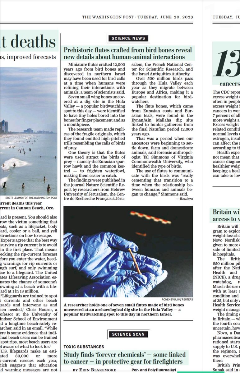 Laurent Davin (@j_m_natuf) on Twitter photo Natufians from Eynan-Mallaha show their flutes in today's edition of the <a href="/washingtonpost/">The Washington Post</a>
#Natufian #Prehistory #Archaeology #birds #Music <a href="/umr8068/">UMR 8068 TEMPS</a> <a href="/HebrewU/">Hebrew University</a> <a href="/CRFJerusalem/">Centre de recherche français à Jérusalem</a>
(Davin et al., 2023)
rdcu.be/dd8o6 Natufians from Eynan-Mallaha show their flutes in today's edition of the <a href="/washingtonpost/">The Washington Post</a>
#Natufian #Prehistory #Archaeology #birds #Music <a href="/umr8068/">UMR 8068 TEMPS</a> <a href="/HebrewU/">Hebrew University</a> <a href="/CRFJerusalem/">Centre de recherche français à Jérusalem</a>
(Davin et al., 2023)
rdcu.be/dd8o6