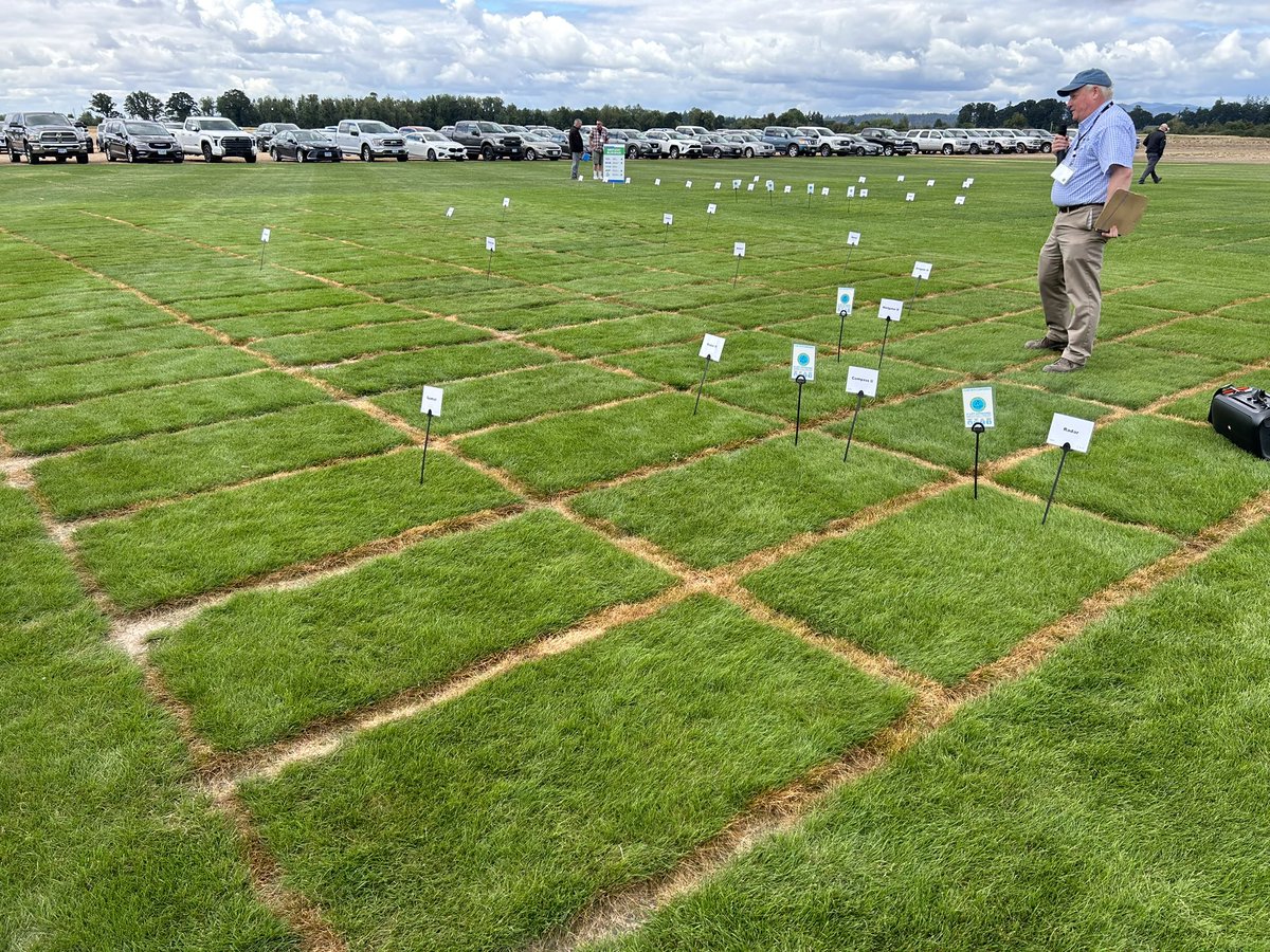 RamyTurf's tweet image. Mountain View field day in Oregon. Checking out some of the finest turf around. It’s great to be here @MtnView_Seeds