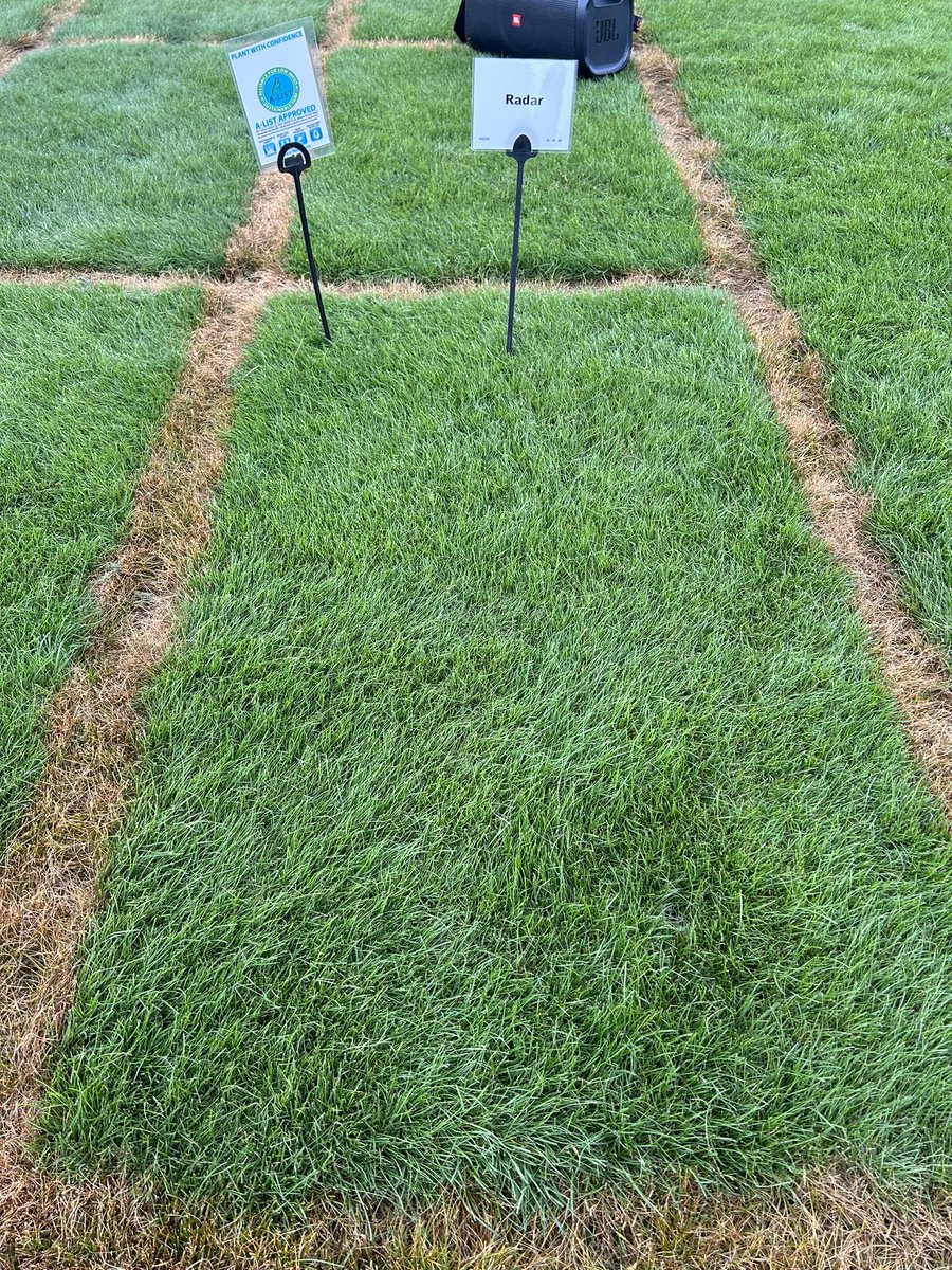 RamyTurf's tweet image. Mountain View field day in Oregon. Checking out some of the finest turf around. It’s great to be here @MtnView_Seeds
