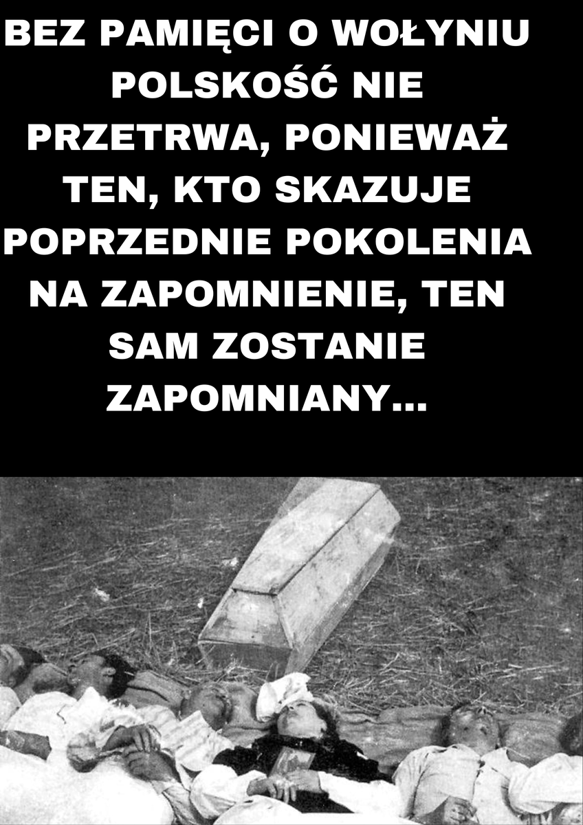 Piotr Wajda tweet media