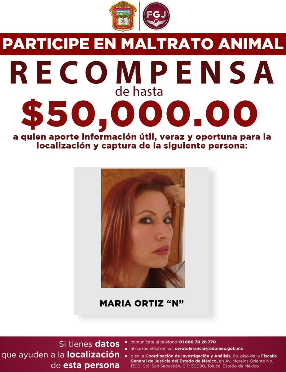 QuePocaMadre_Mx's tweet photo. NO MÁS MALTRAT0‼ BUSCAN A AGRES0RES DE #huellitas 🐶🚔🚨
#URGENTE 

Gente de #mexico, ya hay recompensa por saber el paradero de Vanessa "N", la as3sina de un #perrito en #puebla y/o de su familia, quienes también son cómplices en este terrible caso.

#JusticiaPorHuellitas https://t.co/2R07L7TECB