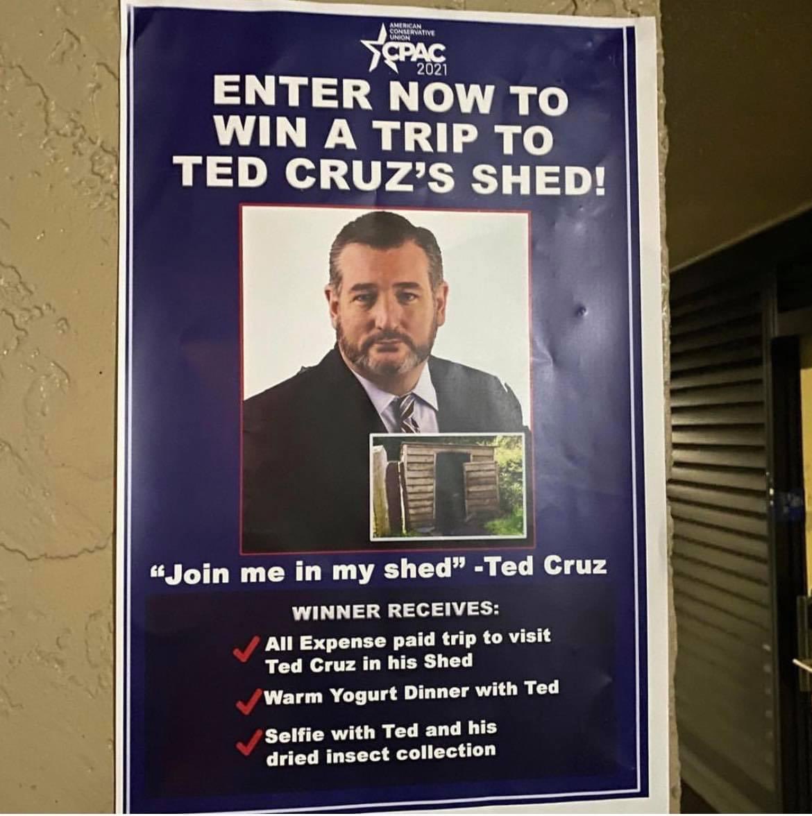 keltykelly's tweet photo. @SenTedCruz You don’t eviscerate anything except your wife’s dignity and attempts to eviscerate our free and fair elections with your trying to stop them.  That’s all you will be remembered for.  Trying to overturn an election.  The American People don’t deserve an insurrectionist like you. https://t.co/9wiNce3I6J
