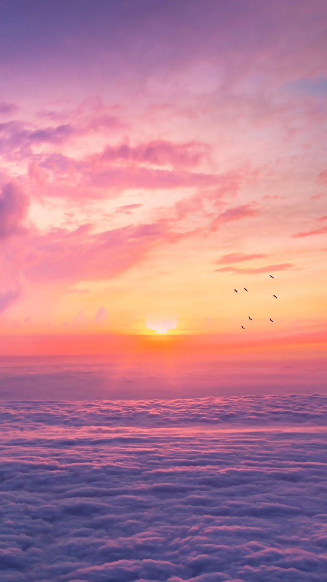 Wallpapers_xx's tweet photo. https://t.co/fXEO7yWq0h