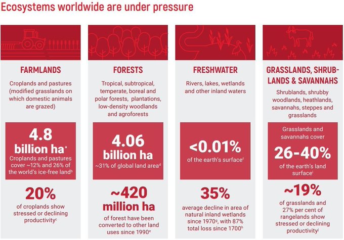 Rt @wef 
Restore land the size of China to meet climate and nature goals, U.N. says wef.ch/3z7SdG3 #GenerationRestoration #WorldEnvironmentDay