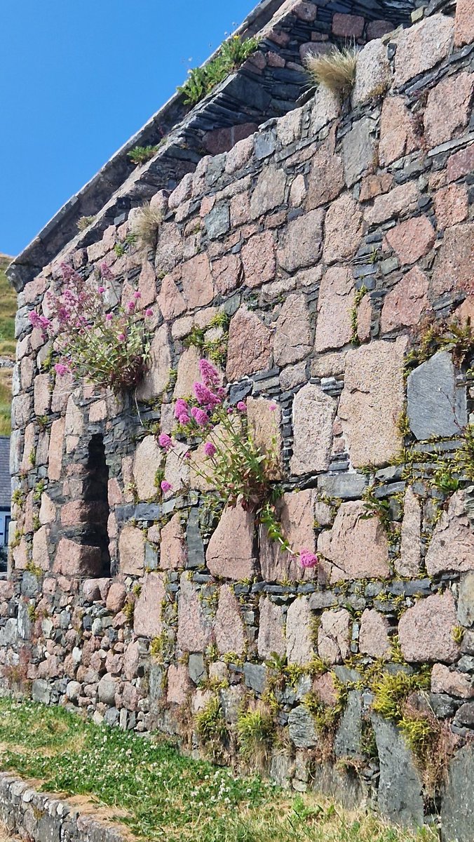 EileanIdhe's tweet photo. Lord, you made us a kingdom and priests to serve our God.
Worthy are you, our Lord and God, to receive glory and honour and power, for you created all things, and by your will they existed and were created. #eveningprayer #creation #GodInAllThings #isleofiona #scottishisles 🙏❤️ https://t.co/ztLkAsm2dN