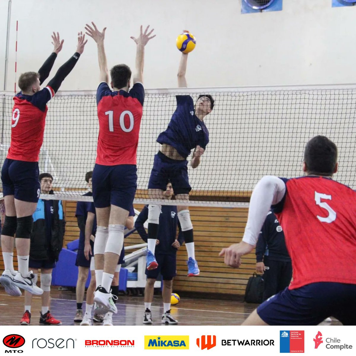 fevochi_oficial's tweet photo. Los #GuerrerosRojos🇨🇱 siguen en su gira por Buenos Aires 🇦🇷, realizando trabajos de pesas y disputando, hasta el momento, alrededor de 10 encuentros amistosos 🏐.

🏐🏐🏐🇨🇱🇨🇱🏐🏐🏐
✅✅✅✅✅✅✅✅

https://t.co/SADkCH6yUN https://t.co/OtDBxAtB69