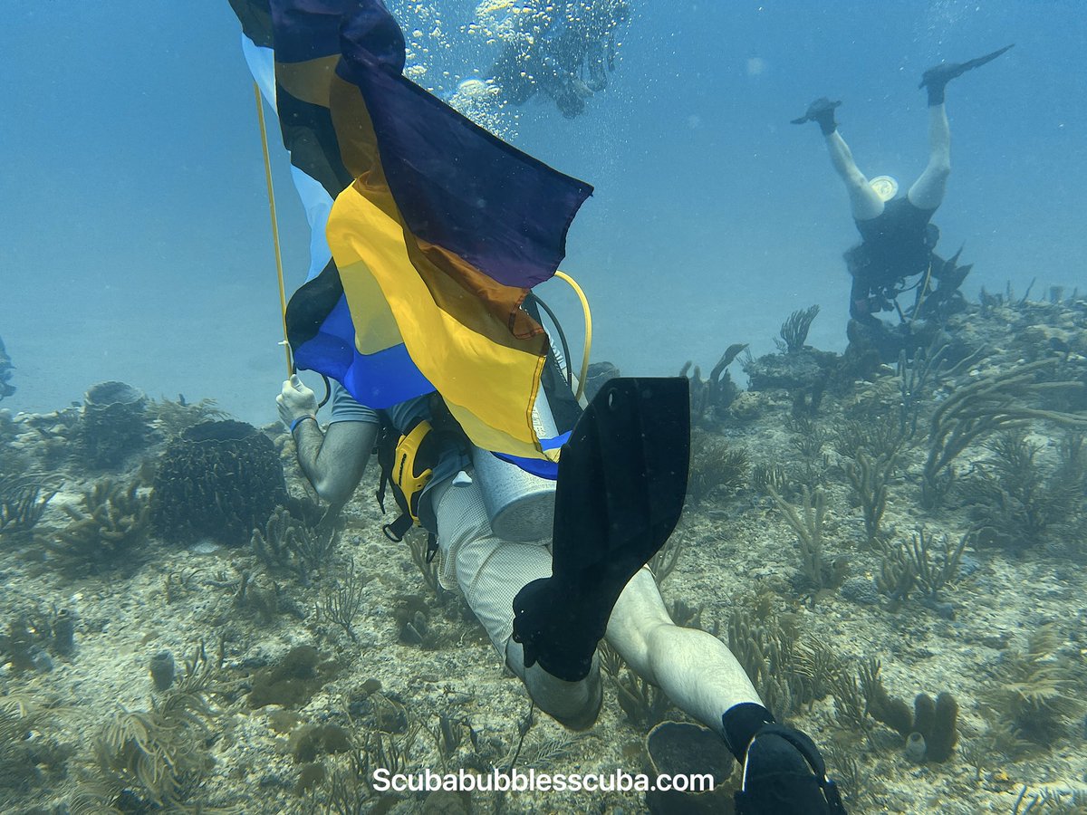 Under water colors change due to lack of light. But our values stay with us. <a href="/GovRonDeSantis/">Ron DeSantis</a> <a href="/POTUS/">President Donald J. Trump</a> <a href="/realDonaldTrump/">Donald J. Trump</a> <a href="/wsvn/">WSVN 7 News</a> <a href="/cnnbrk/">CNN Breaking News</a> #gay #Pride2023