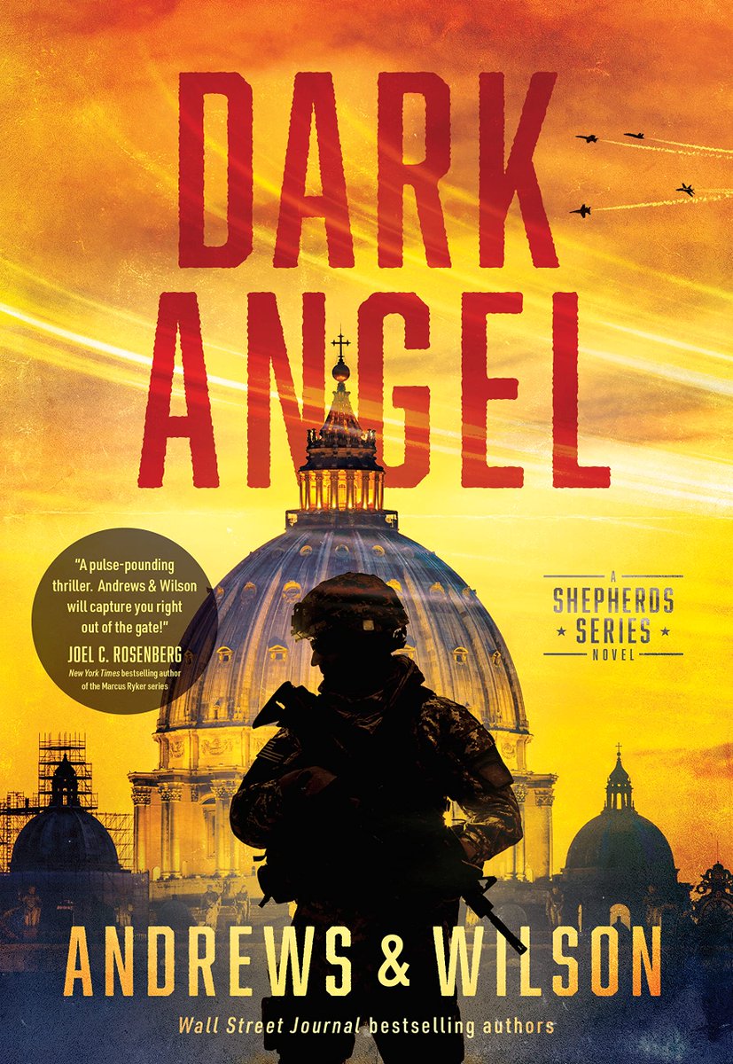 bigg_poohbear's tweet photo. @bruins928 I found another book series you might like. By the same guys who wrote the #TierOne & #SonsOfValor book series @LexicalForge & @JWilsonWarTorn called the #ShepherdSeries. It's about Spiritual Warfare through actual warriors. https://t.co/tCB886ZUcI