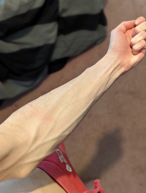 I did a home workout for the first time in ages 😅 enjoy the post workout arms and shirtless pics https://t