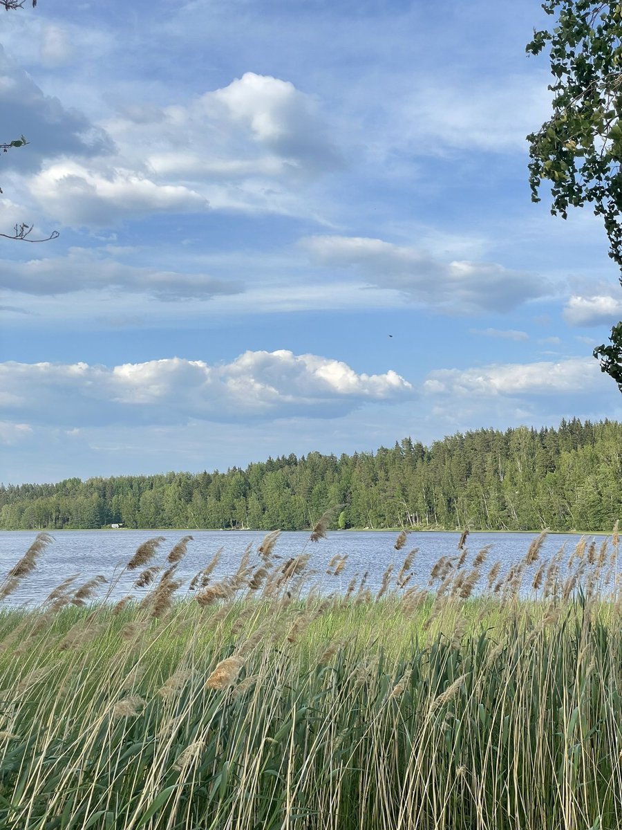 Kaunista🩵

#sastamala #kesä #karkku