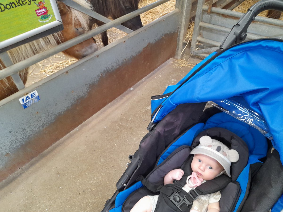 MissNikkiGoodm1's tweet photo. Great CPD opportunity attended today hosted by @ChilternLT at Mead Farm. Lovely on maternity leave to still keep in touch with educational conversations and take my little one along! Thank you @NorsworthyKaty for organising it and @darcyprior @MrsB_FCCT @cotton_nadine sessions 🙂 https://t.co/IeQswhX21i