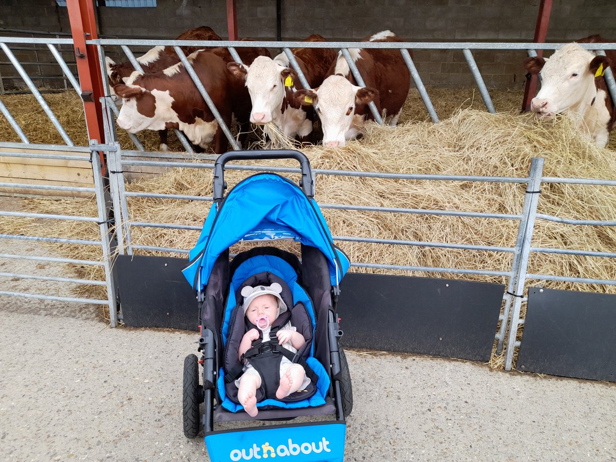 MissNikkiGoodm1's tweet photo. Great CPD opportunity attended today hosted by @ChilternLT at Mead Farm. Lovely on maternity leave to still keep in touch with educational conversations and take my little one along! Thank you @NorsworthyKaty for organising it and @darcyprior @MrsB_FCCT @cotton_nadine sessions 🙂 https://t.co/IeQswhX21i