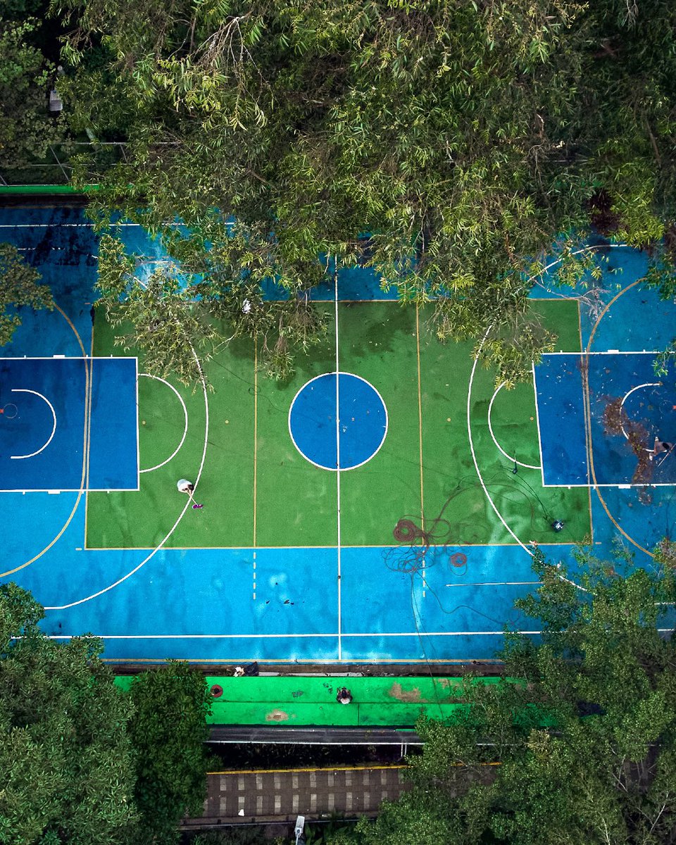 adidasHoops's tweet photo. Sport has the power to change lives. ​

Together with community and cultural leaders in Latin America, we brought new life to 5 Basketball courts across the region. ​

The third court is in the Provenza community in Medellin, Colombia. Artist @GreenAmarilla worked on a design inspired by nature and all its splendor, conveying how this sport serves as a metaphor for hope, perseverance and teamwork, giving the court a new look and life, while creating a true work of art.

—

El deporte tiene el poder para cambiar vidas.

Junto a líderes comunitarios y culturales de América Latina, le hemos brindado nueva vida a 5 canchas de baloncesto en esta región.

La tercera cancha se ubica en la comunidad de Provenza en Medellín, Colombia. La artista @greenamarilla, trabajó en un diseño inspirado en la naturaleza y todo su esplendor, transmitiendo cómo este deporte sirve como una gran metáfora de esperanza, perseverancia y trabajo en equipo, dándole un nuevo aspecto y vida, llenándola de color y creando una verdadera obra de arte.

#RememberTheWhy #adidasBasketball