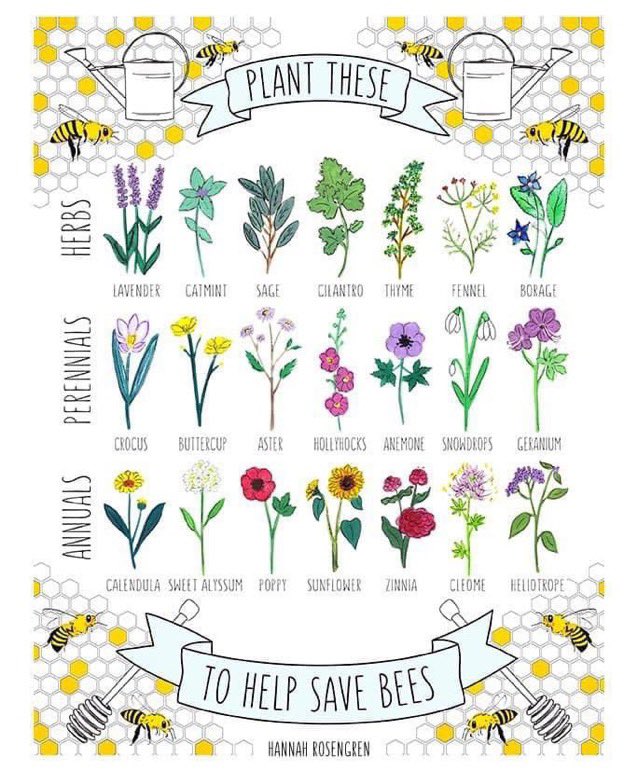 Please retweet this to obtain a ban on pesticides. 😡🐝
👉change.org/SaveTheBee 🆘

#DemCast #ClimateBrawl