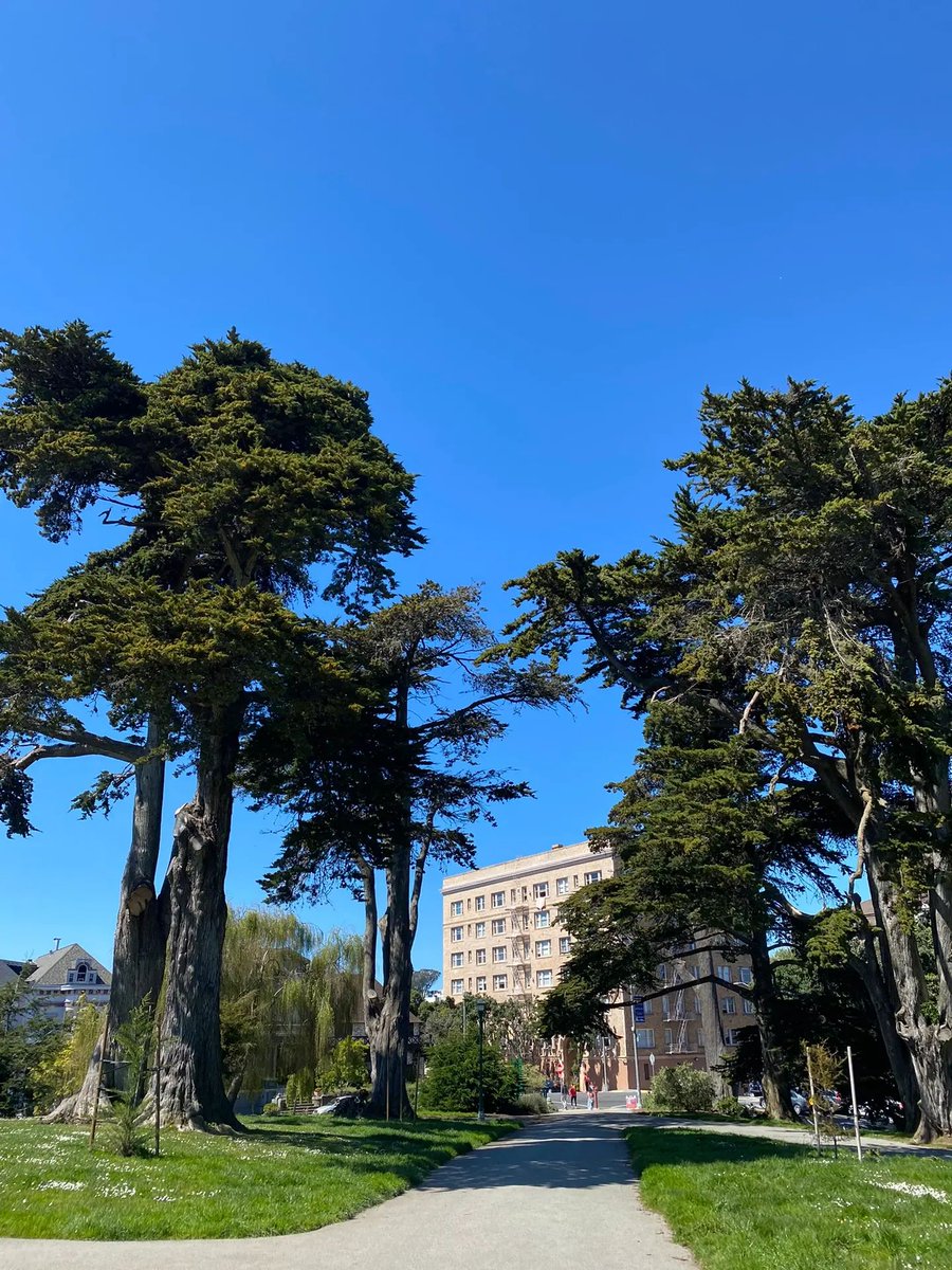 ChrisAllen68601's tweet photo. A lot of people meet on the lawn, picnic, sunbathing, and there are many tourists. Now there are food carts on the square where you can buy coffee ☕️👍🏻 🌟
#beauty
#sanfrancisco https://t.co/Vcepchnd4S