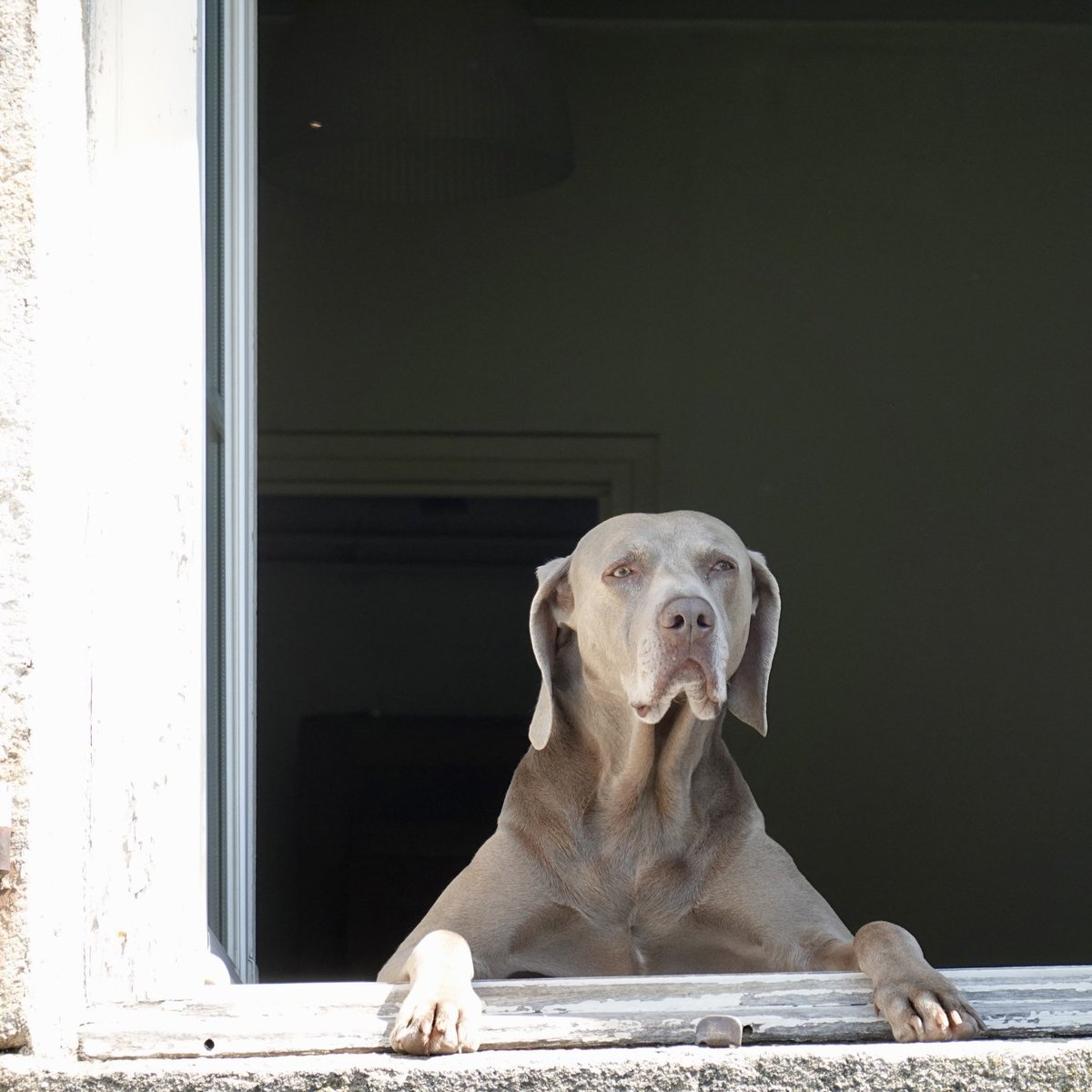 Giorgio Tassi tweet media