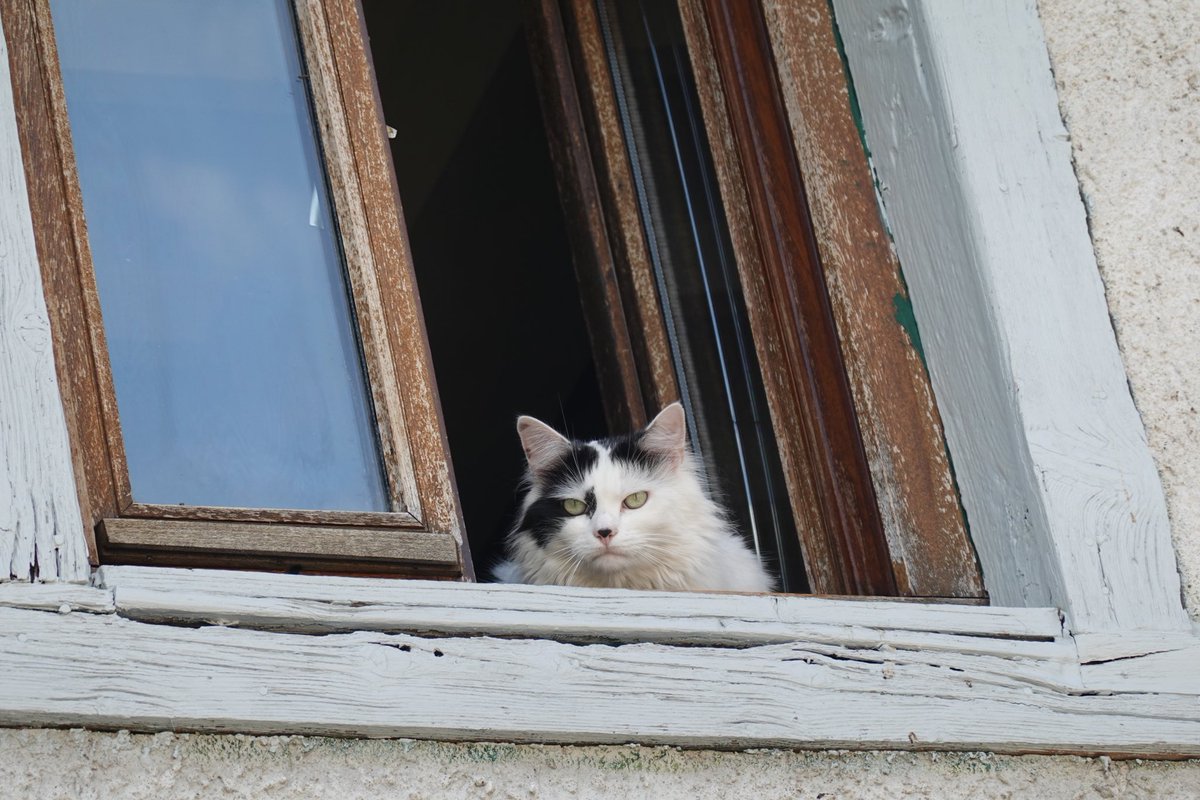 Giorgio Tassi tweet media