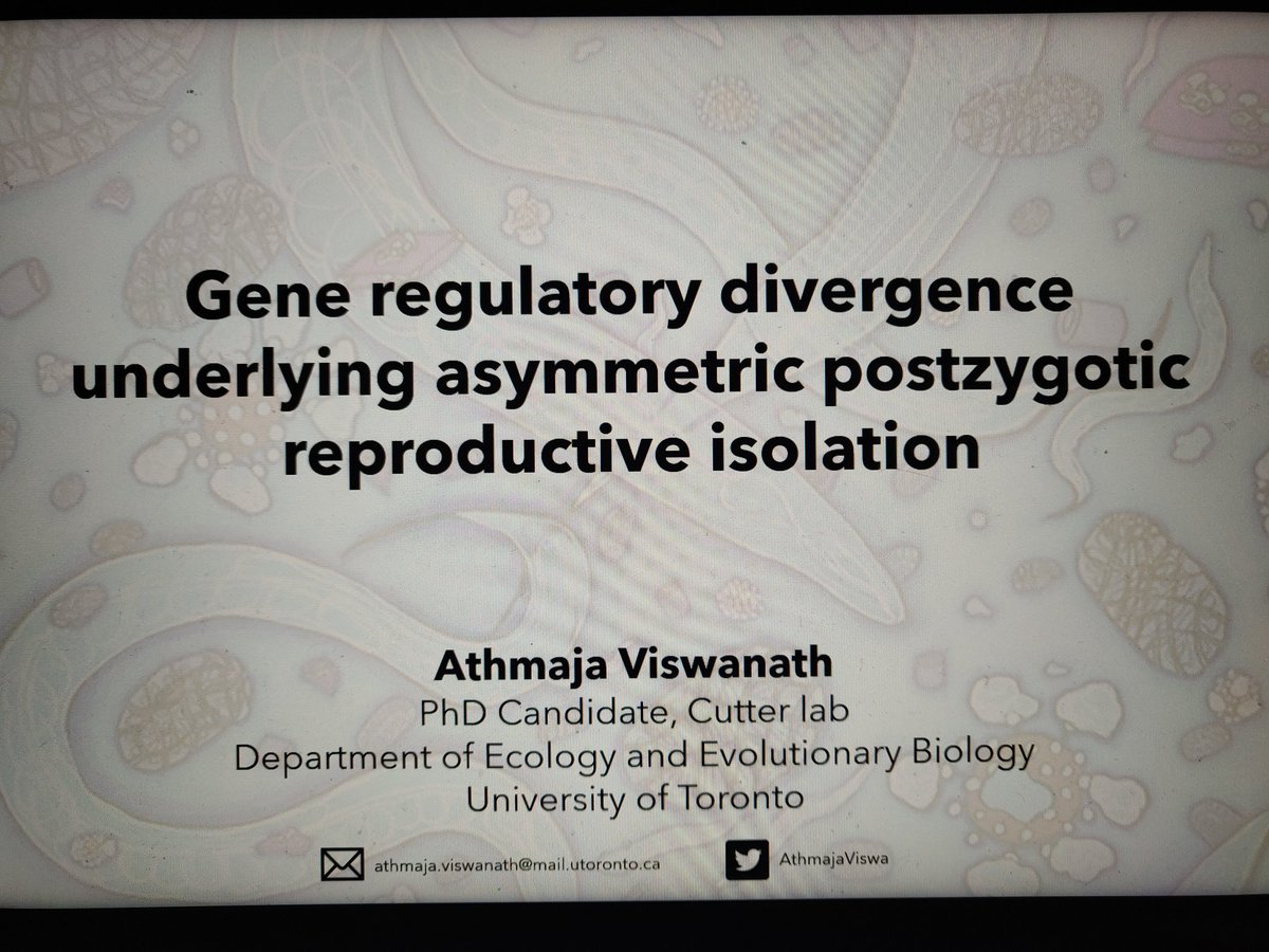 Super excited to present my work in #Evol2023 on the role of #generegulation in #nematode #speciation. Come see me talk on Thursday at 10 30 am (Speciation I)! Can't wait for my first in person conference!