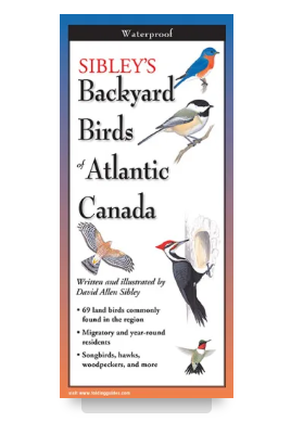 PicsNFlics's tweet image. You'll never be left wondering what that beautiful mystery bird is in your backyard with these laminated pamphlets. Perfect for backpack, beach bag, boat or tackle box. 🦅🦉🐦