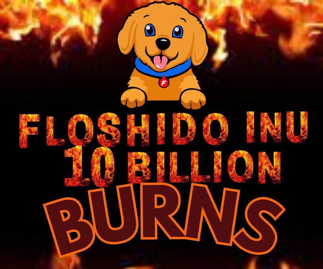 🔥#Floshido Burn time after 5 day🔥

#BITCOIN #btc #floshido #floshidoInu #bnb #ETH #blockchain #NFTCollection